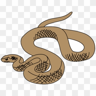 Rattlesnake Clipart Grass Snake - Brown Tree Snake Clip Art, HD Png Download
