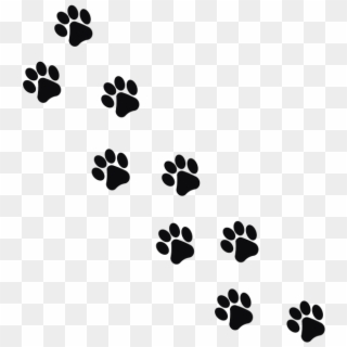 Cat Foot Print - Animal Footprints Png, Transparent Png