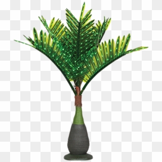 Lit Palm Trees - Bottle Palm Tree Png, Transparent Png