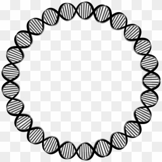 Dna Biology Structure Chain Helix Genetic Genetics - Dna Circle Png, Transparent Png