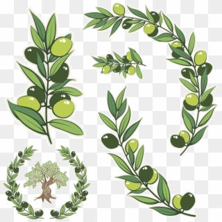 918 X 925 11 - Olive Branch Tattoo, HD Png Download