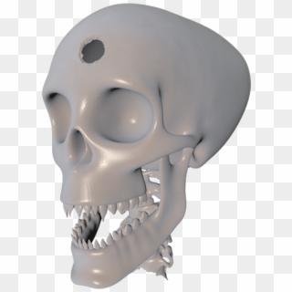 Skull, HD Png Download