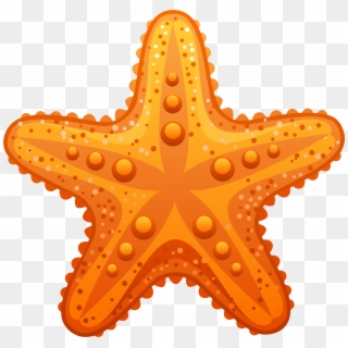Star Fish Png - Transparent Transparent Background Starfish Clipart, Png Download