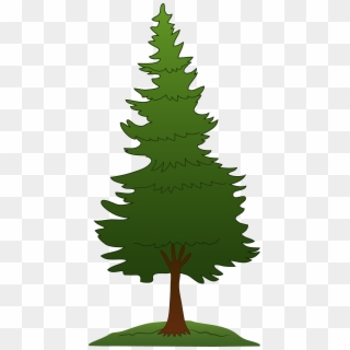 Green Pine Tree Design - Pine Tree Clipart, HD Png Download