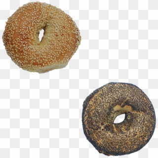 Gourmet Bagels, Baked From Scratch In Each Shop - Doughnut, HD Png Download