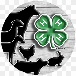 4h Animal Decal - 4 H Canada Logo, HD Png Download