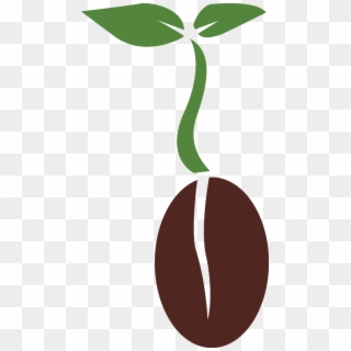Seed Png Clipart, Transparent Png