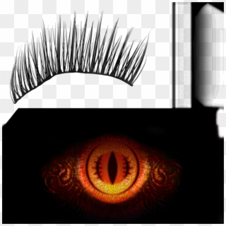 I Also Add A Picture Of The Eye Texture - Eyelash Extensions, HD Png Download