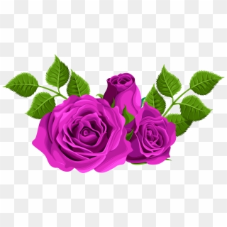 Purple Rose Flower Png, Transparent Png