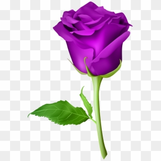 Rose Purple Transparent Png Clip Art Image - Rose Flower Png, Png Download