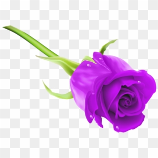 Free Png Download Purple Rose Png Images Background - Rose Hd Images Png, Transparent Png