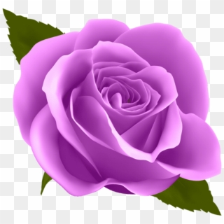Free Png Download Purple Rose Png Images Background - Transparent Purple Rose Png, Png Download