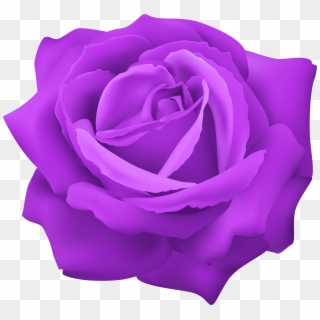 Purple Rose Png , Png Download, Transparent Png