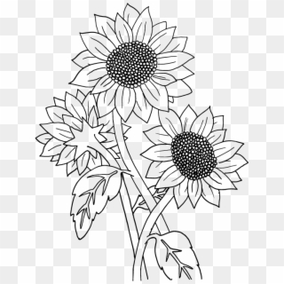 Big Smile - Coloring Sunflower Garden, HD Png Download