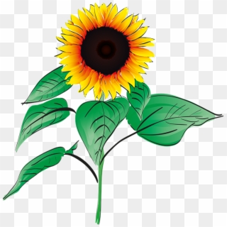 Sunflowers Clipart Bunga Matahari - Bunga Matahari Png, Transparent Png
