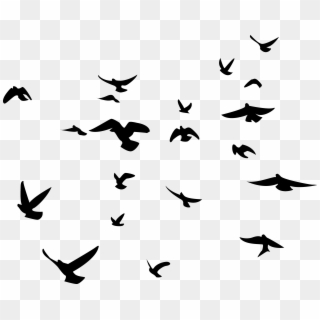 Hay Cientos De Maneras De Volar, La Más Sencilla Es - Black Birds Transparent Background, HD Png Download