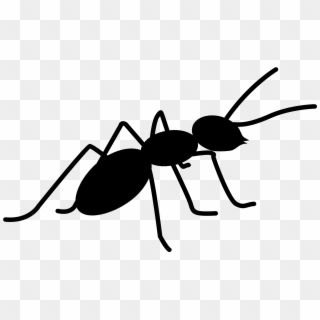 Ant Png - Black Ant Png, Transparent Png