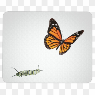 Monarch Butterfly Deco Mousepad - Butterfly Tattoo Designs 3d, HD Png  Download - 1024x1024(#1702803) - PngFind