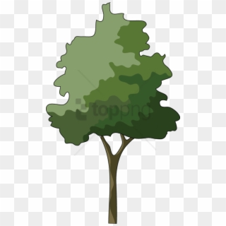 Free Png Trees In Elevation For Photoshop Png Image - Tree Elevation Png, Transparent Png