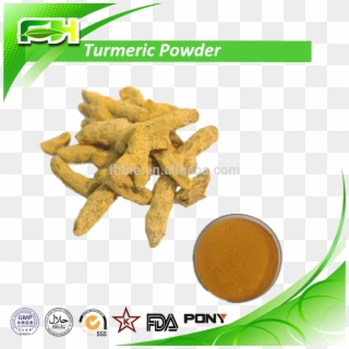 Supply 100 Natural Turmeric Extract Powder Turmeric - Carnosic Acid And Carnosol, HD Png Download
