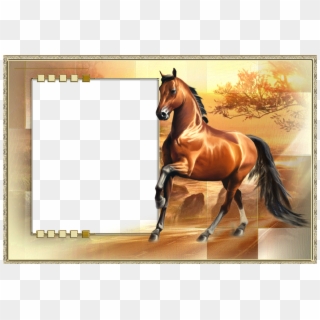 Cool Clip Art, Frames, Horses, Frame, Illustrations, - Horses Photo Frame Png, Transparent Png