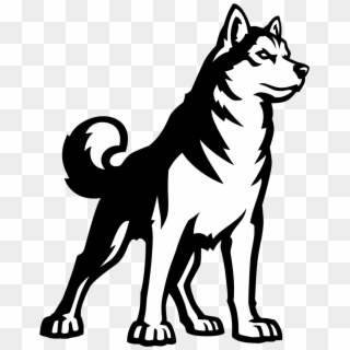 Uconn Game Report - Northeastern Huskies Logo Png, Transparent Png