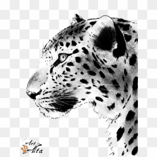 Leopard Face Png Picture - Leopard Drawing Black And White, Transparent Png