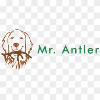 Mr - Antler - Dog, HD Png Download
