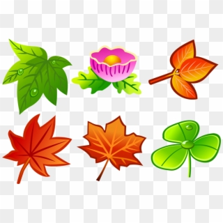 All Type Of Leaves, HD Png Download