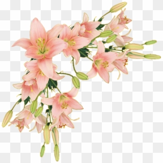 Y Trabajos Con Flores - Png Flower Border Lily, Transparent Png