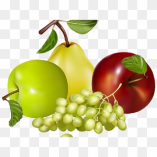 Cornucopia Clipart Grape - Fruit Transparent Clipart, HD Png Download