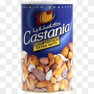 Castania Nuts, HD Png Download
