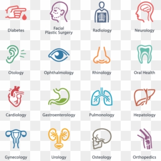 644 Health Icons - Medical Specialties Icons, HD Png Download