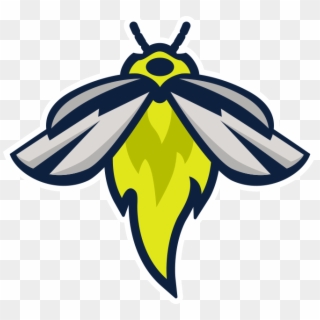 Registration Form - Columbia Fireflies Logo, HD Png Download