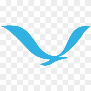 Download Gull Bird Png Transparent Images Transparent - Flying Bird Logo Png, Png Download