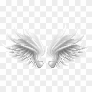 Swan Clipart Wings - White Wings, HD Png Download