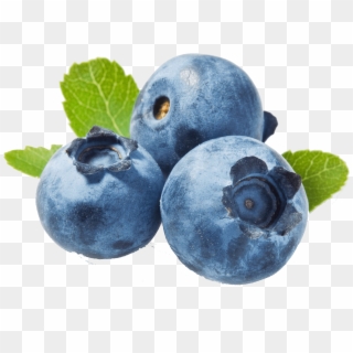 Blueberries - Transparent Background Blueberry Clipart, HD Png Download