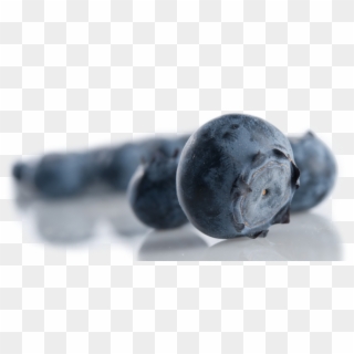 Blueberries - Bilberry, HD Png Download