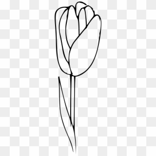 Big Image - Tulip Clipart Black And White Png, Transparent Png