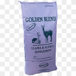 Golden Blend Llama\alpaca - Kitten, HD Png Download