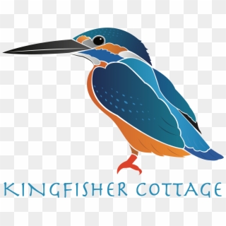 Fishing Lake With Accommodation In Boston, Lincolnshire - Common Kingfisher, HD Png Download