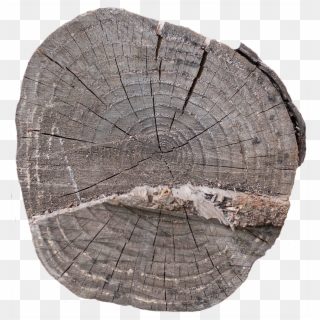 Wood End 13 - Tree Stump, HD Png Download