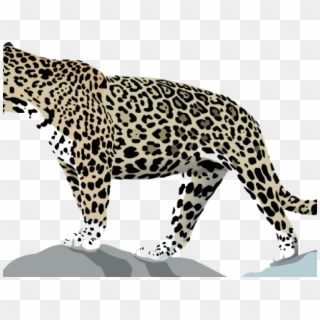 Claw Scratch Clipart Jaguar - Jaguar Animal, HD Png Download