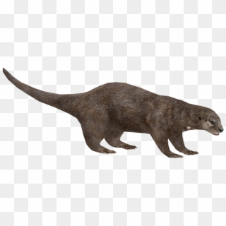 Otter Png Pic - Zoo Tycoon 2 Otter, Transparent Png