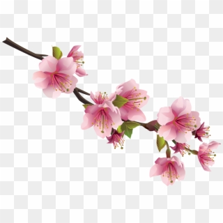 Cherry Blossom Leaves Png, Transparent Png