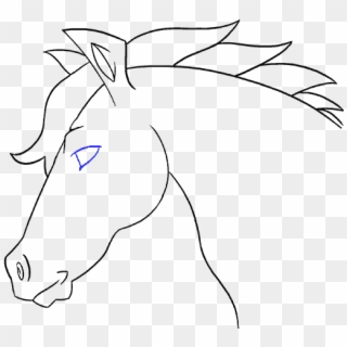 Drawing Horse Head - Horse, HD Png Download