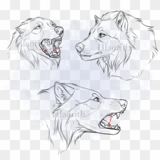 Tokota Faces By Hlaorith - Tokotas Wolf, HD Png Download