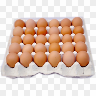 600 X 600 26 - Eggs In A Crate, HD Png Download