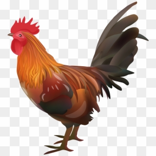 Rooster Chicken Transparent Image, HD Png Download