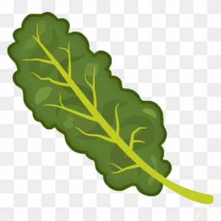 Kale Clipart Transparent - Cartoon Pictures Of Kale, HD Png Download